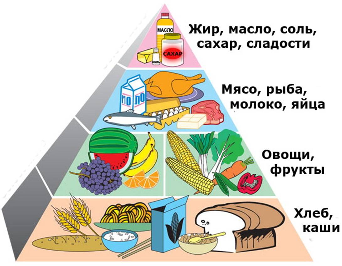 Пищевая Пирамида Правильного Питания Для Детей